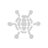 031